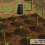 農作物。 農作物。