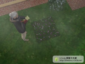 死去的植物不利加入園藝俱樂部的評核。 死去的植物不利加入園藝俱樂部的評核。