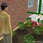 模擬市民透過種植農作物發展自然興趣。 模擬市民透過種植農作物發展自然興趣。