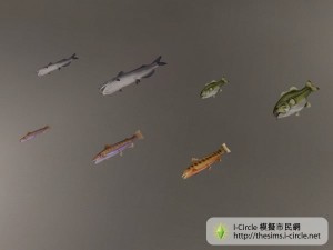 所有魚的種類。