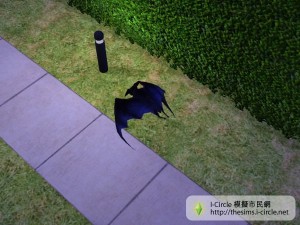 吸血鬼變成蝙蝠在飛。