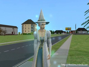 善良的巫師。 善良的巫師。