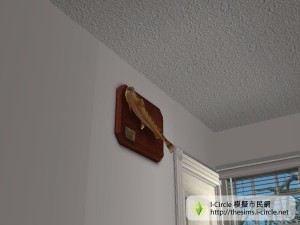 掛在牆的魚標本。