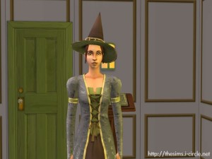 中立的巫師。 中立的巫師。