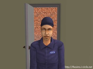 伏塔·艾利克 伏塔·艾利克