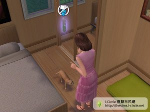 模擬市民在責罵寵物。