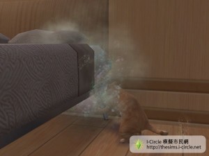 寵物使用床來磨爪。