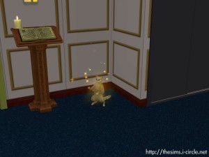 魔擬貓。 魔擬貓。