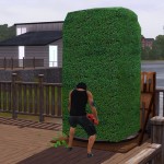 用植物雕塑。 用植物雕塑。