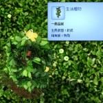 生出生命果的生活植物。 生出生命果的生活植物。