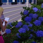 記錄測量資訊。 記錄測量資訊。