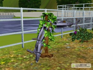 種了機器魚的綜合植物/全能植物。