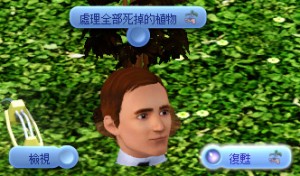 復活死亡花。 復活死亡花。