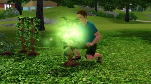 復活死亡花。 復活死亡花。