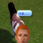 領養野馬。 領養野馬。