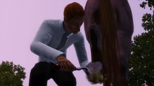 清潔馬蹄。 清潔馬蹄。