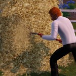 準備乾草給馬兒吃。 準備乾草給馬兒吃。