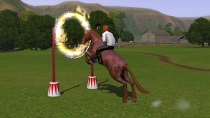 跳火圈。 跳火圈。