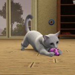 練習狩獵。 練習狩獵。