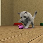 練習狩獵。 練習狩獵。