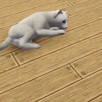 練習狩獵。 練習狩獵。