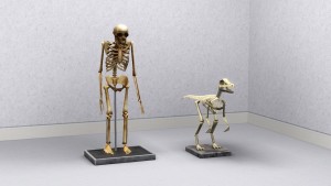 使用由狗尋得的物品堆砌。