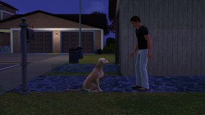 坐下的把戲。 坐下的把戲。