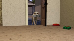 拿報紙。 拿報紙。