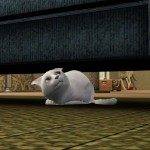 怯懦的貓在沙發底下。