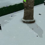 獵人風暴出來的收藏物。