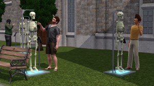 在戶外的溫習人體器官。