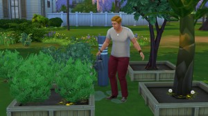 發展園藝技能。