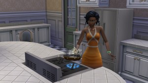 烹調仙饌蜜酒。